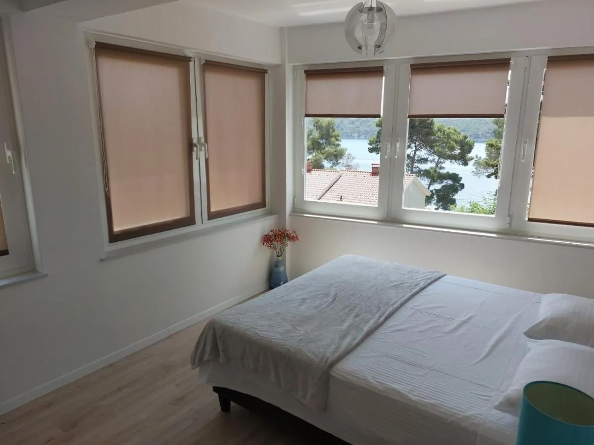 A2D1 Mali Lošinj Apartment